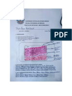 HISTOLOGÍA Arterias