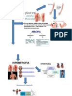 Infografia Atrofia, Hipertrofia e Hiperplasia