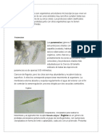 Observacion Microscopica Protozoarios Practica No 1