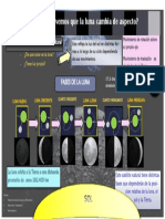 Infografía Fases de La Luna