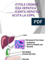 HEP-CR-CIROZA-IHA.pptx_0.odp