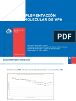 Implementación-VPH-Jornada-SEREMI (1)