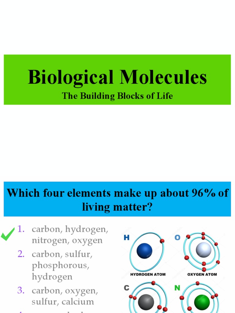 Biological Molecules: The Building Blocks of Life | PDF | Fatty Acid ...
