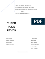 Trabajo de Tuberias de Revestimiento