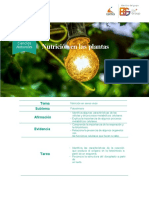 Nutrición en plantas: Fotosíntesis