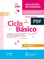 C04 Secundaria CicloBasico Web