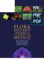Flora de Puebla.pdf