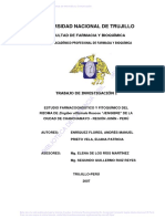 Enriquez Flores Andres Manuel 2007.pdf