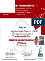 Curso primeros auxilios covid 1 Andy Atmel Carrasco Salinas.pdf