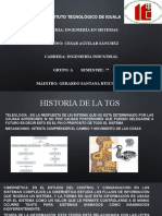 Relatoria Historia de la TGS.pptx