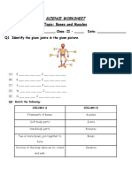 Science Worksheet: Topic: Bones and Muscles