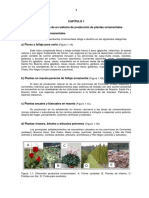 Floricultura-Capitulos 1-3 PDF