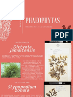 Bot Mar N°7 Rhophytas&Phaeophytas Velilla, Melissa