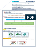 Desarrollo de La Actividad Inicio: Escribir Fichas para Tu Catálogo Sobre Los Beneficios y Cuidados de Las Plantas