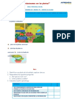 "¿Cómo Nos Relacionamos Con Las Plantas?": Àrea: Personal Social SESIÓN N°04 - SEMANA 28 - MEDIO: TV - JUEVES 15-10-2020