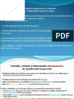 LP_Fact_Tehnico-org_Oficina.pdf