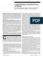 The Central Sirtuin 1/p53 Pathway Is Essential For The Orexigenic Action of Ghrelin