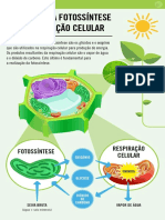 respiração celular ciencias.pdf