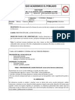 Guia Taller Cátedra 8 PDF