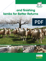 BRP Manual 5 Growing and Finishing Lambs290714 PDF