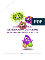 Identification D'Un Germe Responsable D'Une Cystite: TP de Microbiologie N°2