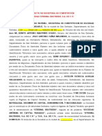 Proyecto de Escritura de Constitución