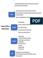 Funciones y Perfil Del Auditor de Sistemas