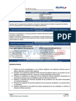 Funciones Auditor Interno