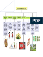Mapa Conceptual de Las Caracteristicas de Los Seres Vivos PDF