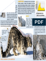 Leopardo de Las Nieves PDF