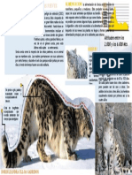 Leopardo de Las Nieves PDF