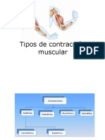 Tipos de Contraccion Muscular