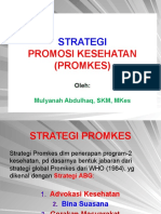 Strategi Promkes-2-20