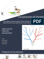 Los Pinzones de Darwin