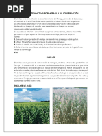 IMPLEMENTAR ALTERNATIVAS FORRAJERAS Y SU CONSERVACIÓNN