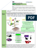 Los procesos de nutrición en los seres vivos 2do.pdf