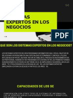 Sistemas Expertos en Los Negocios