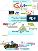 Experimentos_MesaPaula