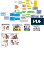 MAPA CONCEPTUAL (6)