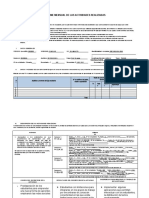 Estructura de Informe Del Trabajo Remoto - Minedu.