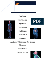 Anatomia y Fisiologia Del Sistema Nervioso 6