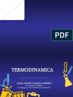 13 Termodinamica