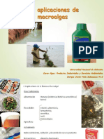 Usos y Aplicaciones Macroalgas PDF