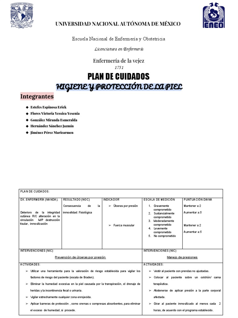 Plan de Cuidados en Enfermería Geriátrica | PDF | Ciencias de la Salud ...