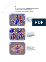 Meiosis: First Look