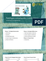 Patologías estructurales y edificatorias