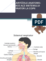 4.PAF Ale Sistemului Respirator