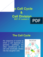 The Cell Cycle & Cell Division: BOT 1P: Lecture 5