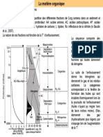 La Matière Organique: Genèse Des Huiles, Gaz Et Charbons