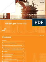 Oil and Gas Survey Report PDF